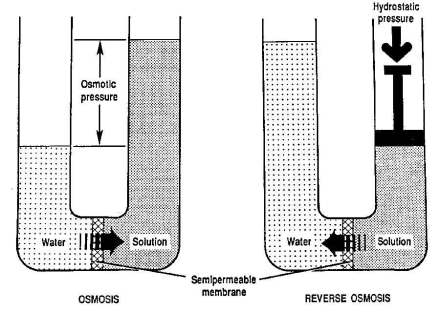 Natural osmosis and reverse osmosis. (Image courtesy of www.filterfast.com)